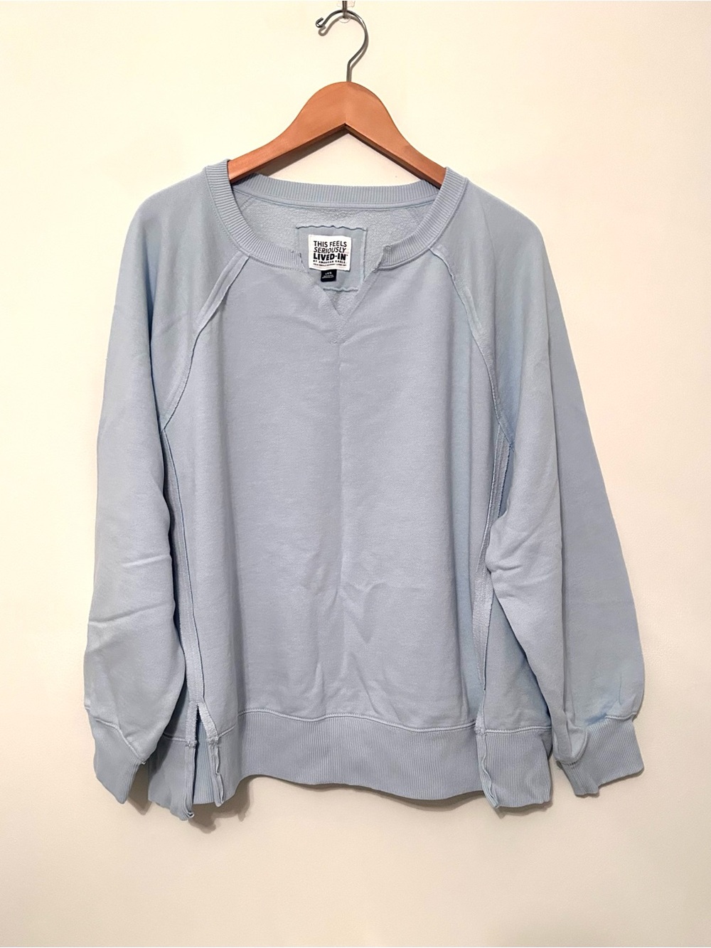 American Eagle Outfitter ‘Lived In’ Light Blue Oversized Sweatshirt